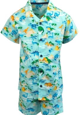 Ex Tu Boys Dinosaur Pyjamas.pk of 17