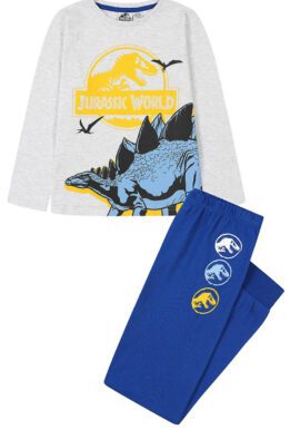 Fully Licensed Jurassic World Pyjamas.pk of 11