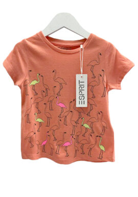 Esprit Orange Flamingo T-Shirt pk of 13