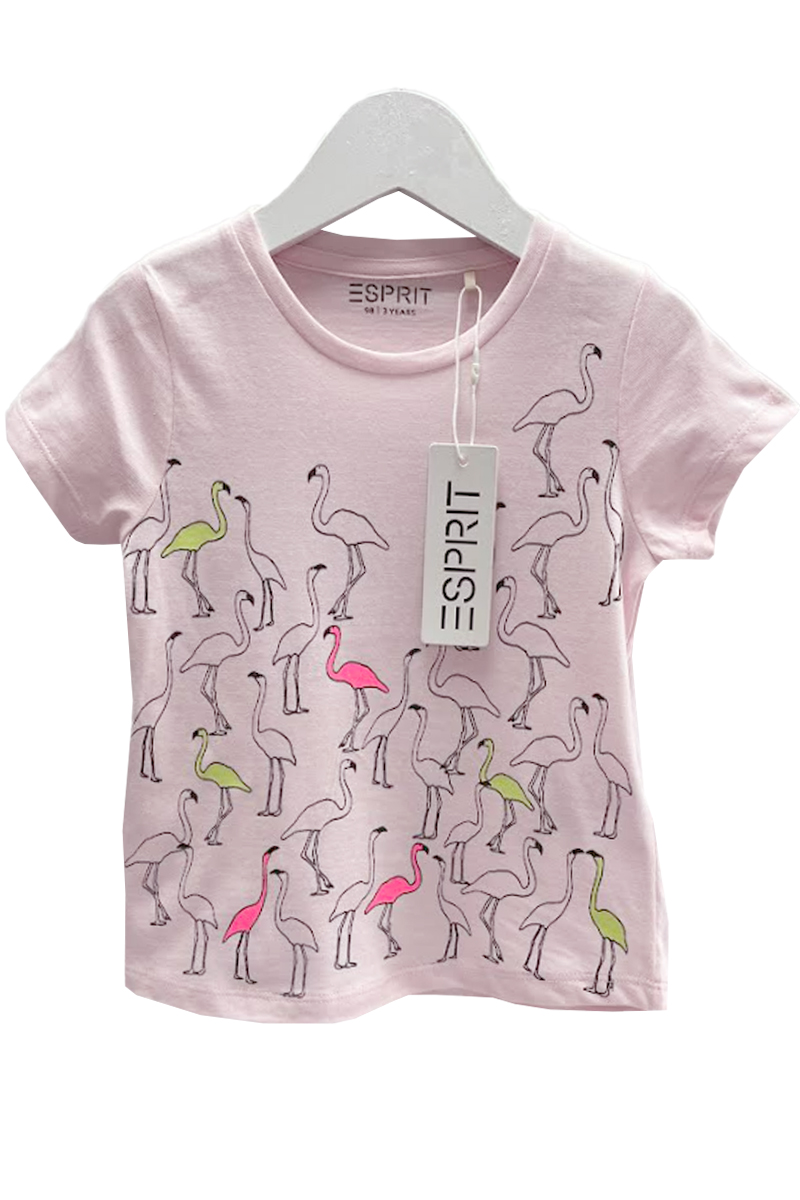 Esprit Pink Flamingo T-Shirt pk of 14