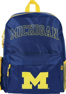 Fully Licensed Helix Michigan Large Backpack. Pk of 3