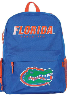 Fully Licensed Helix Florida Large Backpack. Pk of 3