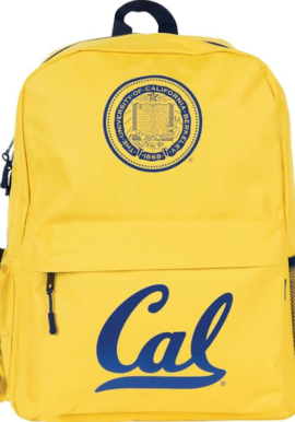 Fully Licensed Helix Cal Tec Large Backpack. Pk of 3