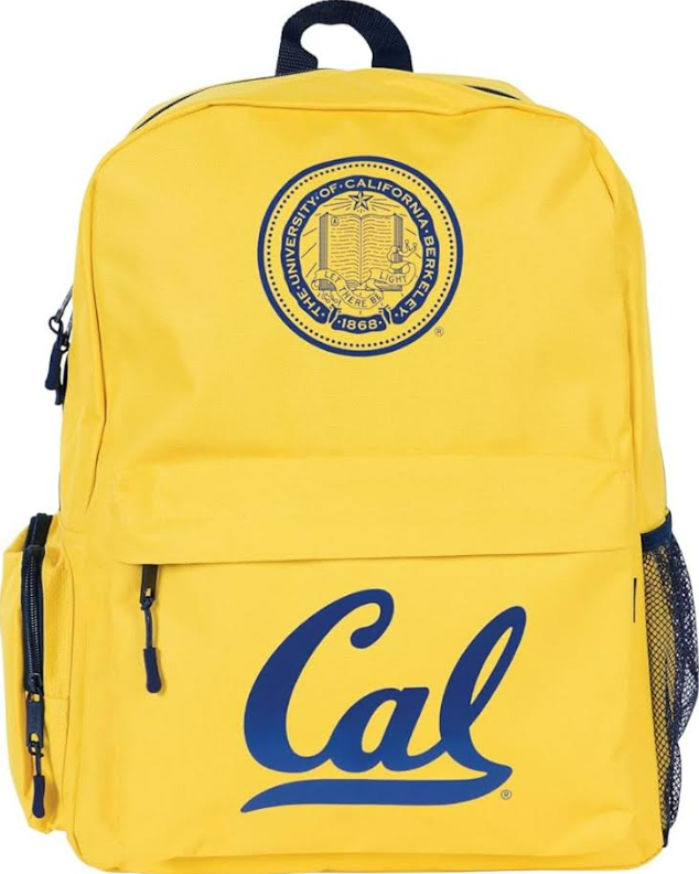 Fully Licensed Helix Cal Tec Large Backpack. Pk of 3
