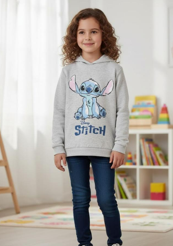 Ex Chainstore Stitch Hoodie. Pk of 12